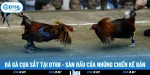 Đá Gà Cựa Sắt