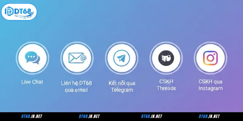 Top 5 phương thức liên hệ DT68 nhanh chóng nhất